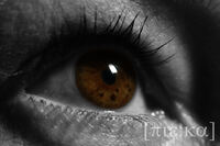 auge 20110319