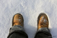 meine schuhe im schnee