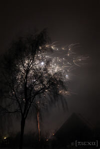 silvester022010